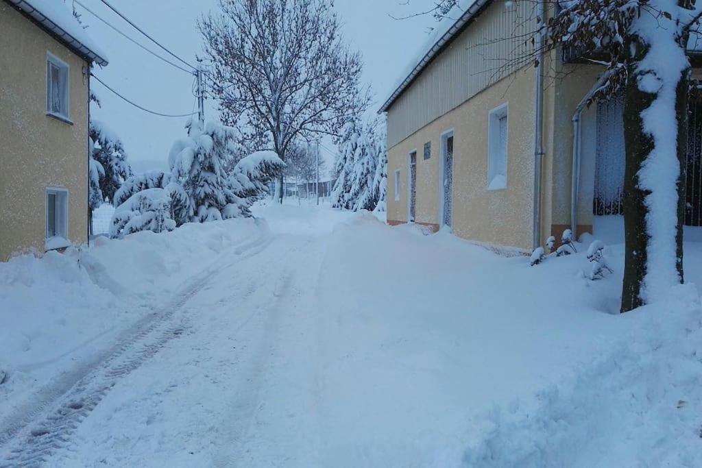 Ferienwohnung In Mittelsaida Grosshartmannsdorf Exterior foto